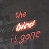 Removed to the Signifier: Utopia in Stephen Graham Jones’s The Bird Is Gone: A monograph Manifesto (2003)