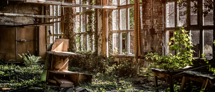 Gaming and the Humanities: Interdisciplinary Essays on The Last of Us (2013-)